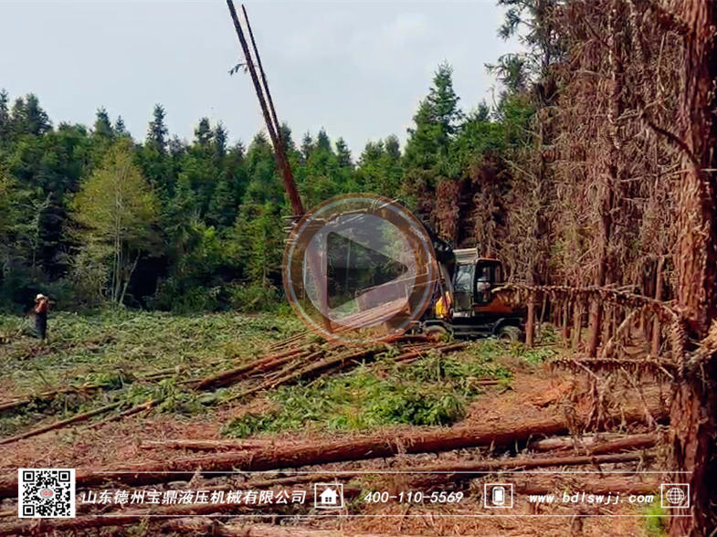 江西寶鼎95抓木機裝樹工作視頻